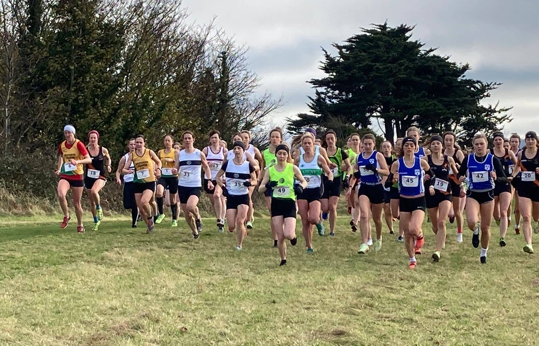 Intermediate Cross Country and Clontarf 5 Mile & Half-Marathon - Civil  Service Harriers . | Running Club | Dublin